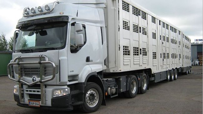 transporte animales covid-19