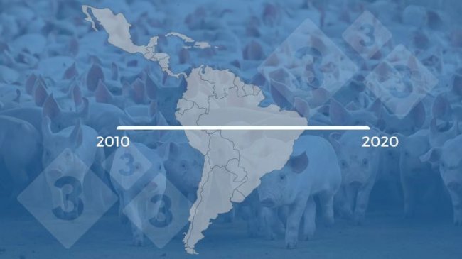 Evolución de la porcicultura en Latinoamérica