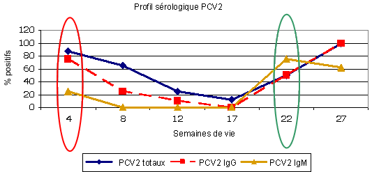 Profil sero pcv2