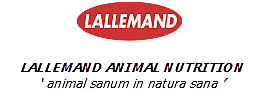 Lallemand 6