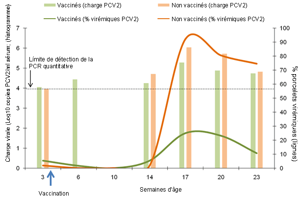 Comparaison de la dynamique du pourcentage de porcelets virémiques et charge virale moyenne chez les porcelets virémiques