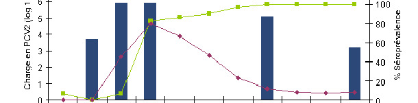 Le rapport entre le niveau (% d&rsquo;animaux positifs) d&rsquo;Ig M et d&rsquo;Ig G est indicateur du moment o&ugrave; a d&eacute;but&eacute; l&rsquo;infection ou la circulation virale