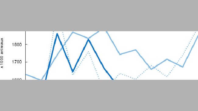Abattages en Pologne