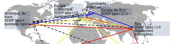 Distribution mondiale du SDRP et transmission intercontinentale hypoth&eacute;tique