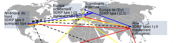 Distribution mondiale du SDRP et transmission intercontinentale hypothétique