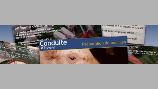 conseils de conduite