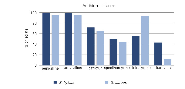 Percent of isolates resistant to antimicrobials
