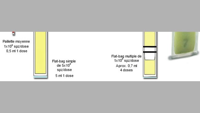 Représentation schématique des principales différences entre les mini-paillettes plastiques de 0.25 ml, avec des Flat-bags simples (5 ml) et multiples (de 0.5-0.7 ml)