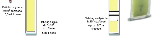 Représentation schématique des principales différences entre les mini-paillettes plastiques de 0.25 ml, avec des Flat-bags simples (5 ml) et multiples (de 0.5-0.7 ml)