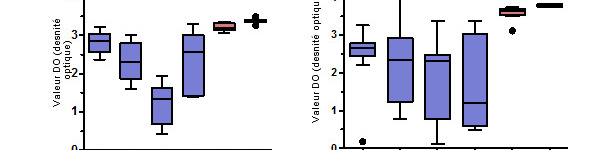 Niveaux d'anticorps IgG sp&eacute;cifiques pour le PCV2 mesur&eacute;s par ELISA dans le s&eacute;rum et le colostrum des truies.