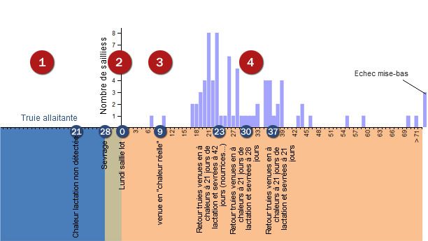 An&aacute;lisis repeticiones periodo conflictivo