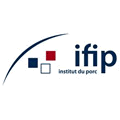 IFIP 1