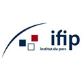 Logo IFIP