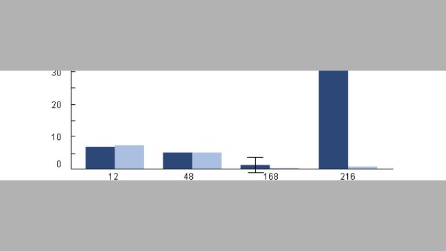 Survie intracellulaire d'H parasuis dans les macrophages alvéolaires porcins de porcs préalabllement infectés par du SDRP