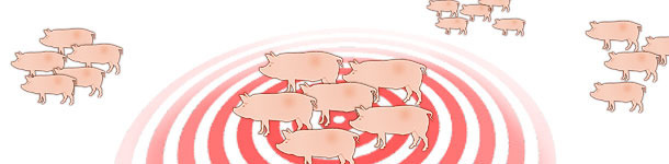 Dynamique de l'infection par le virus influenza dans les &eacute;levages de reproductrices