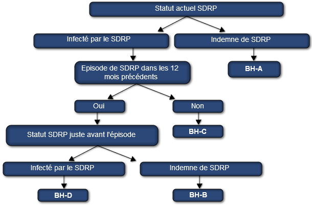 Système de classification du virus SDRP dans les élevages porcins.