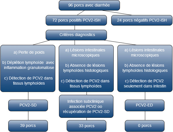 Sélection et critères diagnostiques des porcs infectés avec du PCV2