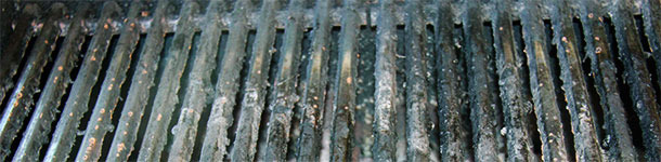 La m&eacute;t&eacute;orologie n'a pas encourag&eacute; les barbacues allemands