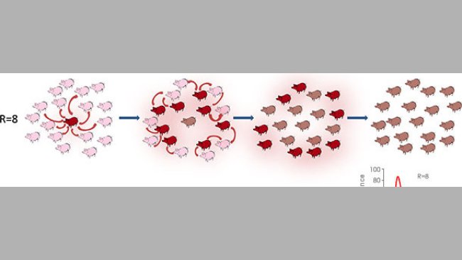 Taux de reproduction dans un contexte épídémique ou endémique