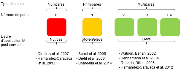 Grado de aplicación de la inseminación post-cervical 