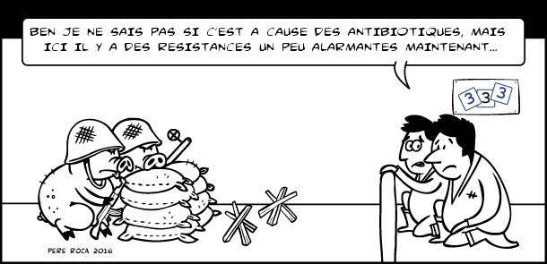 Résistance aux antibiotiques