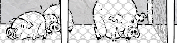 Bios&eacute;curit&eacute;