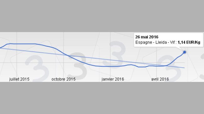 Prix porc Mercolleida