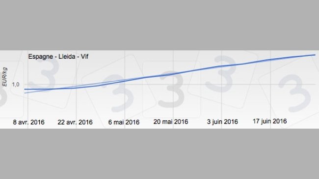 Prix du porc en Espagne