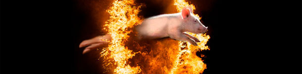 Le mur de chaleur du mois de septembre