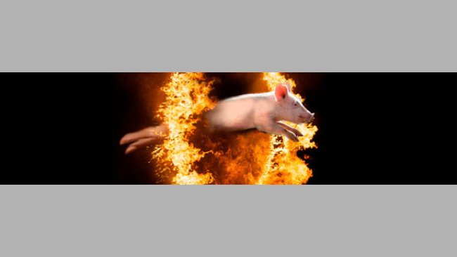 Le mur de chaleur du mois de septembre