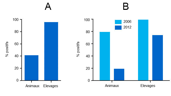 Anticorps contre le PCV2 dans le sérum des porcs d'engraissement en 2006 et 2012