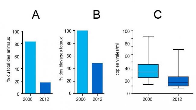 Niveaux de virémie PCV2 en 2006 et 2012