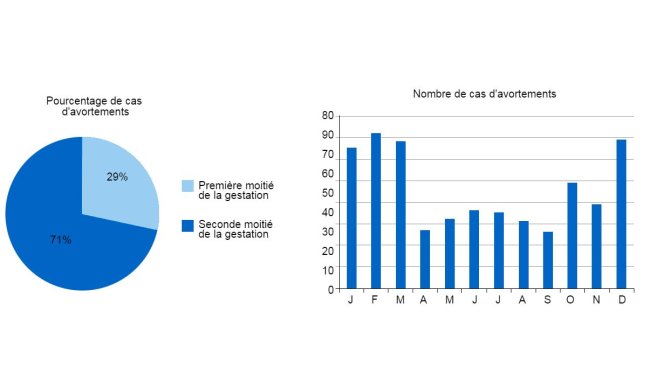 Le graphique circulaire représente le pourcentage d’avortement dans le premier et le deuxième stade de la gestation, respectivement. L’histogramme représente la saisonnalité des avortements.