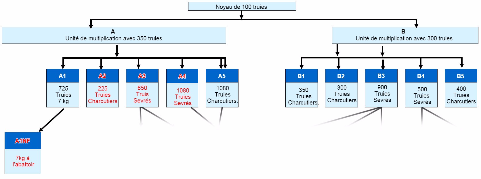 Structure de lentreprise