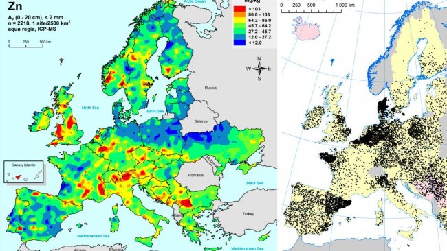 A gauche: Zinc dans les sols agricoles de ll&#39;UEE (Gemas 2014): Niveaux de zinc &agrave; la surface du sol (20 cm sup&eacute;rieurs) dans les terres agricoles en Europe (&agrave; partir&nbsp; de Reimann et al., 2014). A droite: Elevages porcins dans l&#39;UE (Eurostat, 2014).
