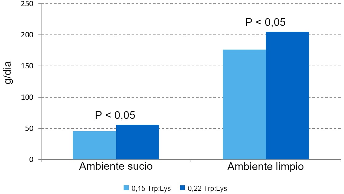 <p>Figure 1 – Effet du rapport Trp/Lys dans l'aliment sur le taux de croissance en phase de prédémarrage dans deux ambiances différentes.</p>
<p> </p>