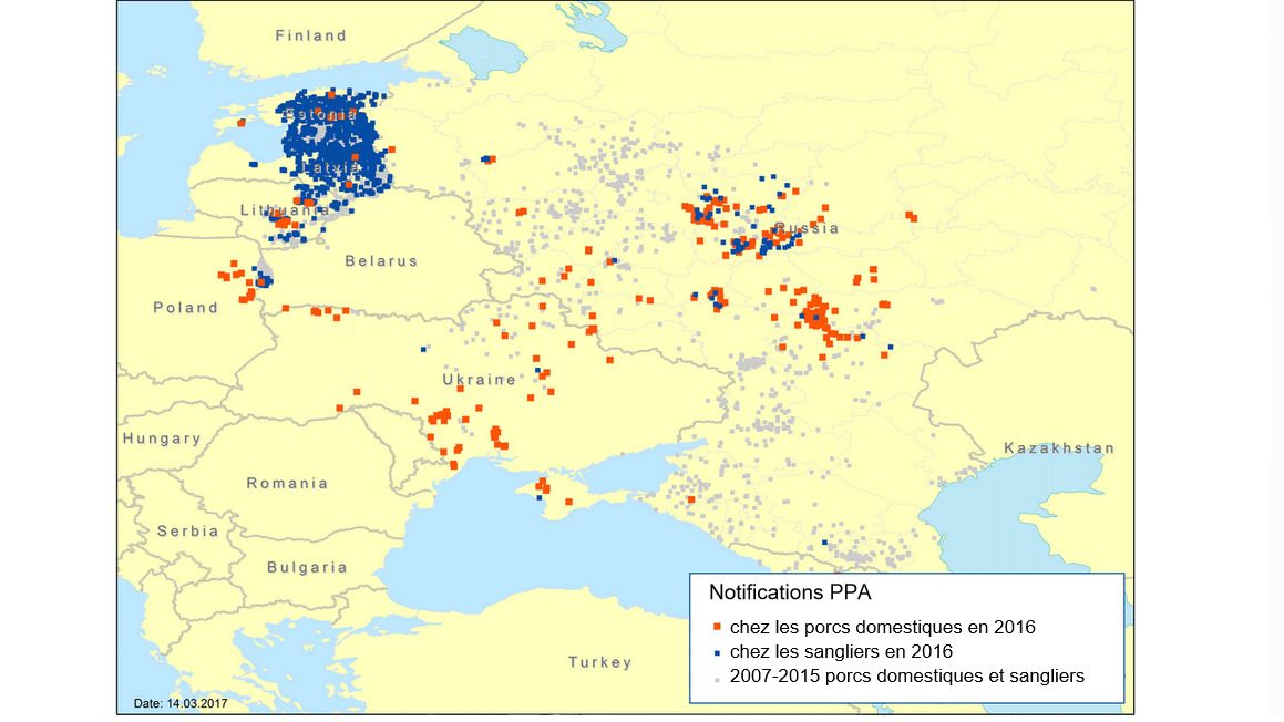 <p>Notifications de PPA en Europe de l'Est en 2007&ndash;2016</p>
