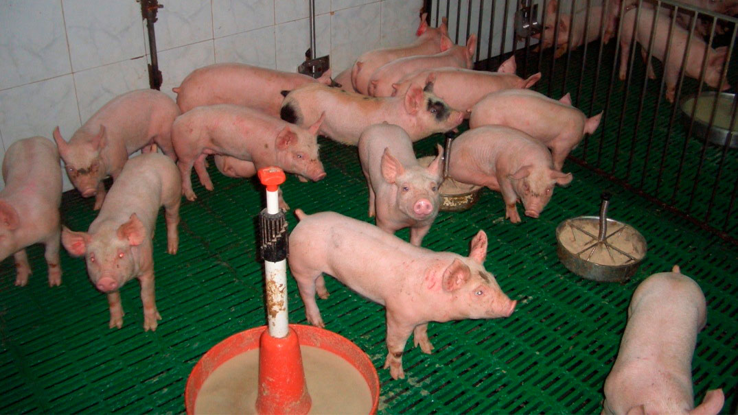 <p>Figure 2. Utilisation adapt&eacute;e des aliments et des points d'alimentation</p>
