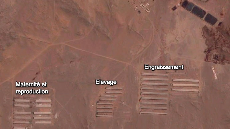 <p>Photo 1. Distribution de l'&eacute;levage</p>
