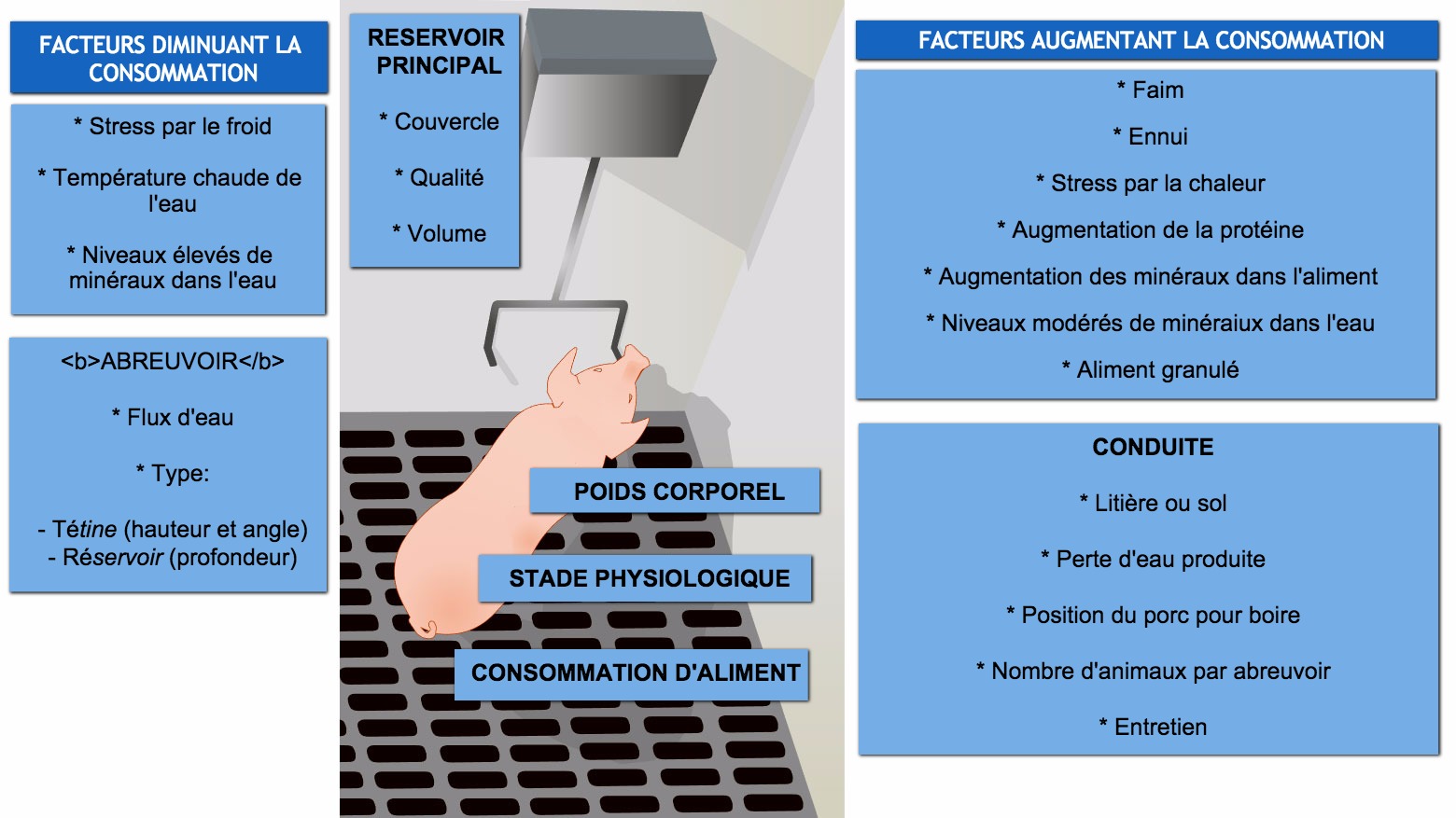 <p>Facteurs affectant la consommation d'eau chez le porc</p>
