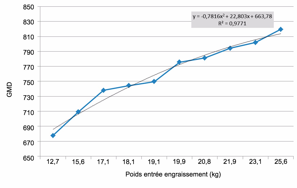 <p>Figure 6. GMQ sur les 100 premiers jours d'engraissement en fonction du poids d'entrée. Les différences de poids à l'entrée de l'engraissement s'approfondissent (multipliées par 2). Chaque kg de différence de poids à l'entrée équivaut, approxiamtivement à 11 g de GMQ.</p>