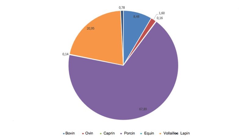 Importance des diff&eacute;rentes cat&eacute;gories dans la production totale de viande
