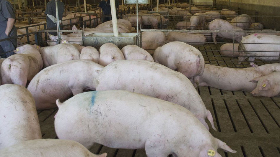 <p>Photo 1. Salle pour le remplacement en Am&eacute;rique du Nord. Avec l'aimable autorisation de Mar&iacute;a Jos&eacute; Clavijo.</p>
