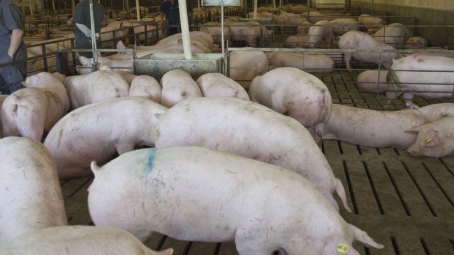 Photo 1. Salle pour le remplacement en Amérique du Nord. Avec l'aimable autorisation de María José Clavijo.