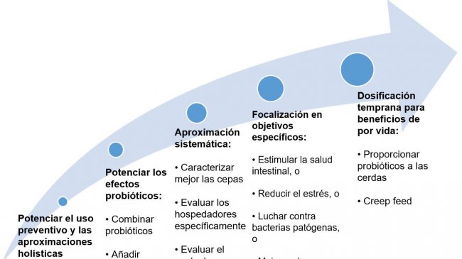 Figure 2. Strat&eacute;gies visant &agrave; am&eacute;liorer l&#39;utilisation des probiotiques &agrave; un stade pr&eacute;coce.
