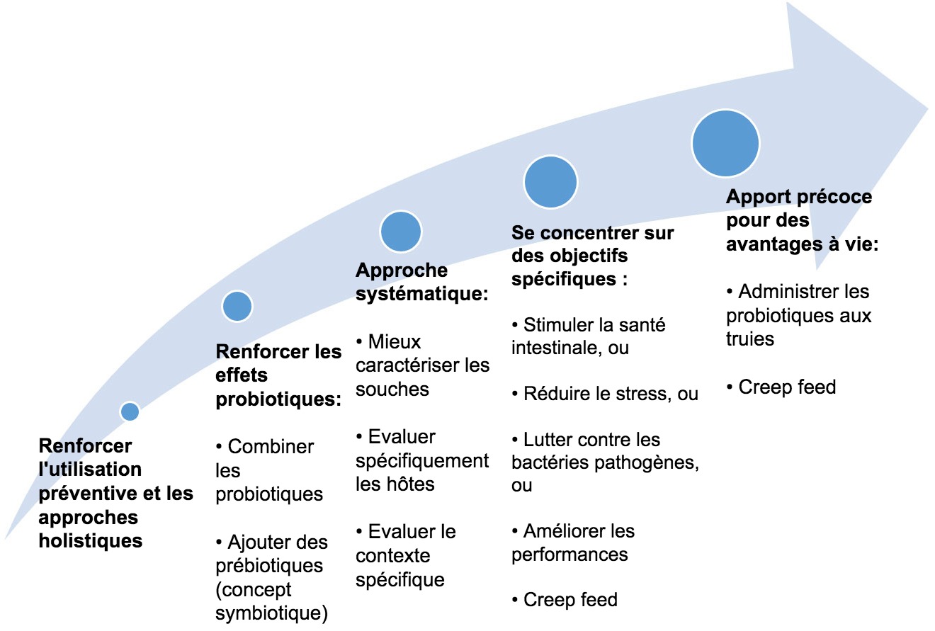 <p>Figure 2. Strat&eacute;gies visant &agrave; am&eacute;liorer l'utilisation des probiotiques &agrave; un stade pr&eacute;coce.</p>
