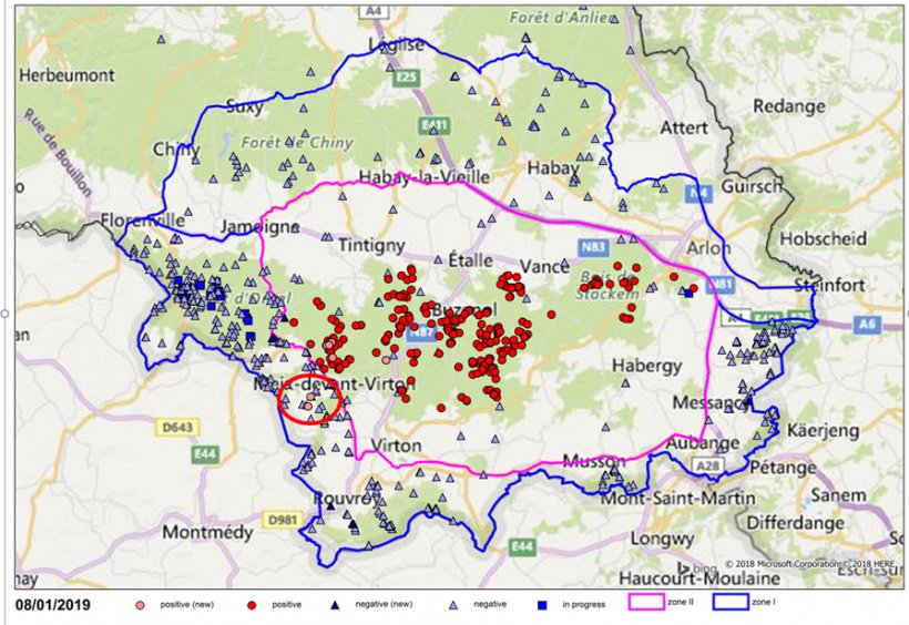 Localisation des pr&eacute;l&egrave;vements (n&eacute;gatifs en bleu et positifs en rouge pour la PPA) effectu&eacute;s sur des sangliers dans le Sud de la Belgique (les deux nouveaux cas entour&eacute;s en rouge).
