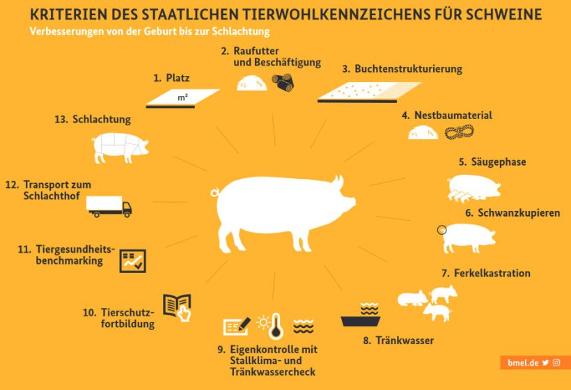 L Allemagne Presente Un Nouvel Etiquetage Sur Le Bien Etre Animal Nouvelles 3trois3 Le Site De La Filiere Porc