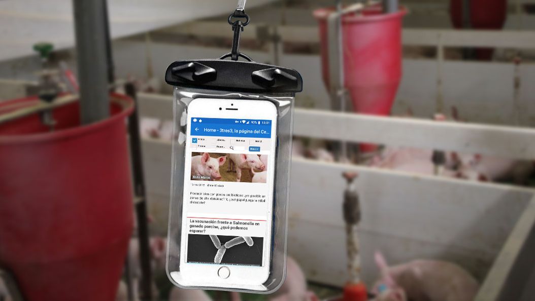 Un t&eacute;l&eacute;phone portable dans un sachet &eacute;tanche.
