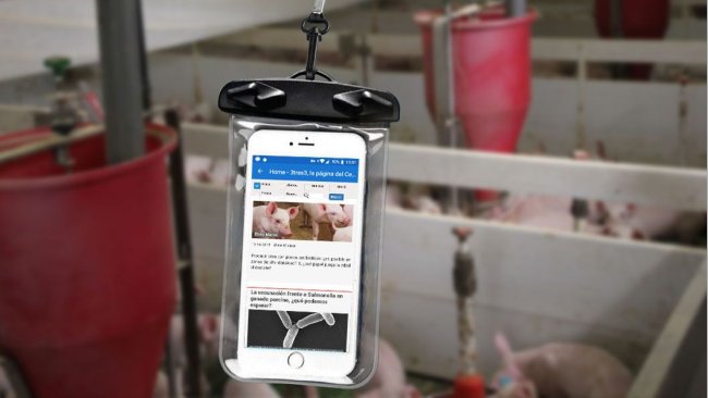 Un téléphone portable dans un sachet étanche.